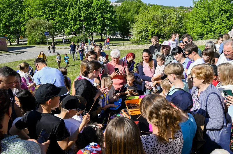 Magiczna chwila - Pałac wydarzenie 7